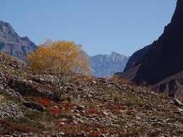 �������� �����, 10 ������� 2017