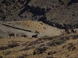 �������� �����, 11 ������� 2017