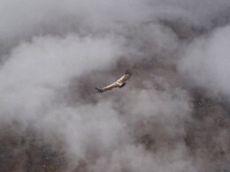 �������� �����, 13 ������� 2017