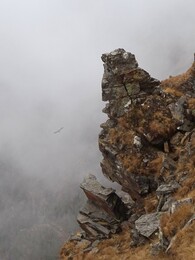 �������� �����, 13 ������� 2017