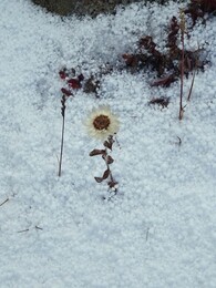 �������� �����, 14 ������� 2017