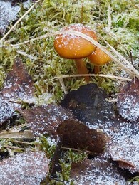 ���������, 22 ������� 2017