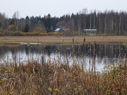 ���������, 22 ������� 2017