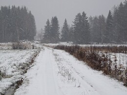 ���������, 29 ������� 2017