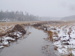 ���������, 29 ������� 2017