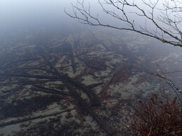 ���������, 25 ������ 2017