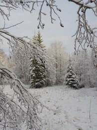 ���������, 2 ������� 2017