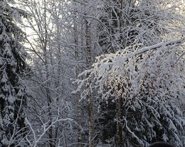 ���������, 2 ������� 2017