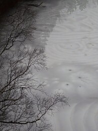 ����� �� ���� �����. Nuuksio, 6 ������ 2018