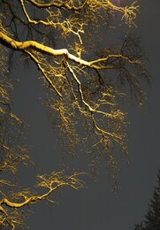 ������� ����� ���������. �����, 1 ������� 2018