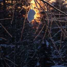 �������. ����� � ������ Sonkaj&auml;rvi, 18 ������� 2018