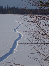 ����� � ������ Sonkaj&auml;rvi, 18 ������� 2018