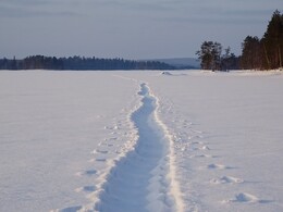 �������� ����� �����. ����� � ������ Sonkaj&auml;rvi, 18 ������� 2018