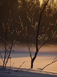 ����� � ������ Sonkaj&auml;rvi, 18 ������� 2018