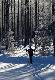 �������� � ������ �����, 19 ������� 2018