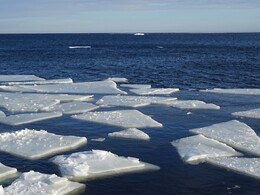 ������ G&aring;sgrund, 18 ����� 2018