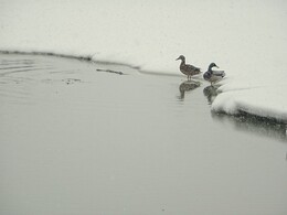 �������, 2 ������ 2018