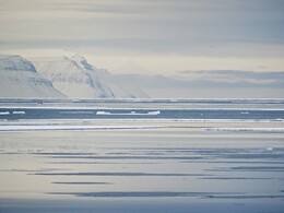 ����������, 16 ������ 2018