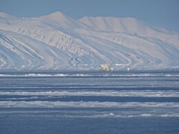 ������� �� ���� �����-������. ����������, 25 ������ 2018