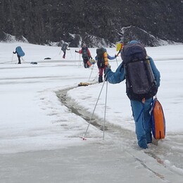 ������ ���� ������. ����������, 8 ��� 2018