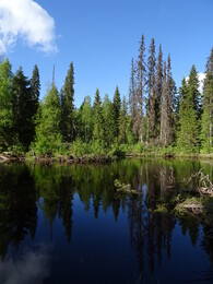 ���� �������. ����-������ ����� �� ���� ������� � ����, 2 ���� 2018