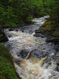 ����� ������� ������ �� �������. ����-������ ����� �� ���� ������� � ����, 3 ���� 2018