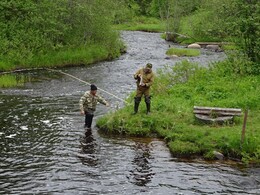 ������ �� �������. ����-������ ����� �� ���� ������� � ����, 3 ���� 2018