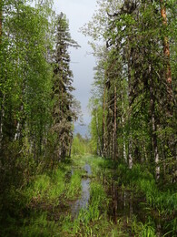 ������������ ������. ����-������ ����� �� ���� ������� � ����, 4 ���� 2018