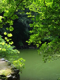 ���� ��� ������������ �����, 25 ���� 2018