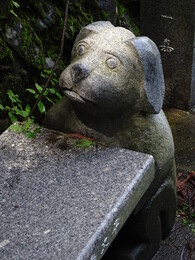 �����. ��������� �� ���� ������, ������, 29 ���� 2018