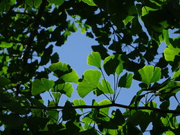 ������ ������. ��������� �� ���� ������, ������, 29 ���� 2018