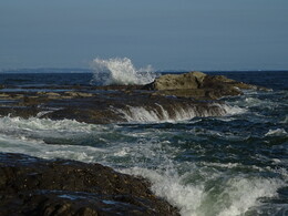 ����� �����. �����, 31 ���� 2018