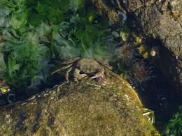 ����� �����. �����, 31 ���� 2018