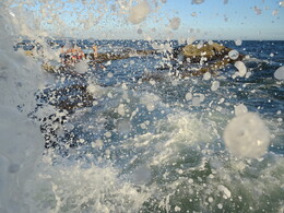 ����� �����. �����, 31 ���� 2018