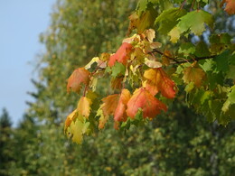 ����� ����� � J&auml;ms&auml;, 8 �������� 2018