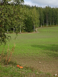 ����� ����� � J&auml;ms&auml;, 8 �������� 2018