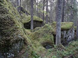 ����� ����� � J&auml;ms&auml;, 8 �������� 2018