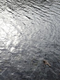 Nuuksio, 29 �������� 2018