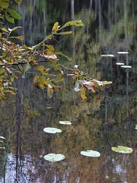 ����� ����� � Orivesi, 30 �������� 2018