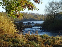 ������� �� ���� Luna. ���������, ������, 18 ������� 2018