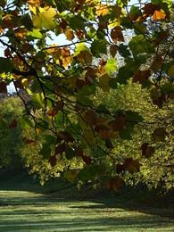 ���������, ������, 18 ������� 2018