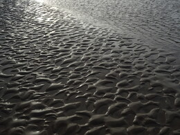 �����. ���������� ����, ������, 21 ������� 2018