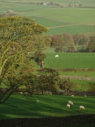 ���������, ������, 22 ������� 2018