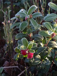 ��������. ����� � ���� Sipoonkorpi, 24 ������ 2018