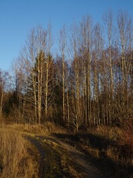 ����� � ���� Sipoonkorpi, 24 ������ 2018