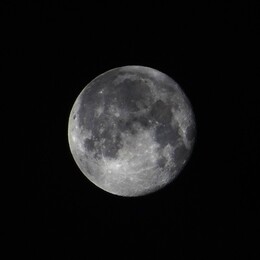 ����, 23 ������� 2018