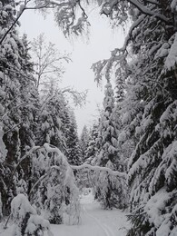 ��������-�������, 30 ������� 2018