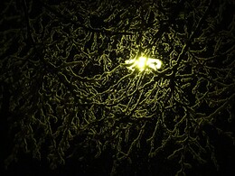 �������� � �����, 8 ������