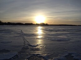 ������� �� ����� �� ����, 12 ������