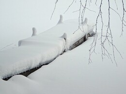 ������ �� �����, 26 ������